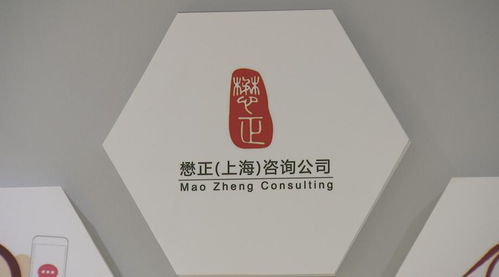 從公職到創(chuàng)業(yè) 崇明青年的無(wú)邊風(fēng)景與技術(shù)咨詢夢(mèng)